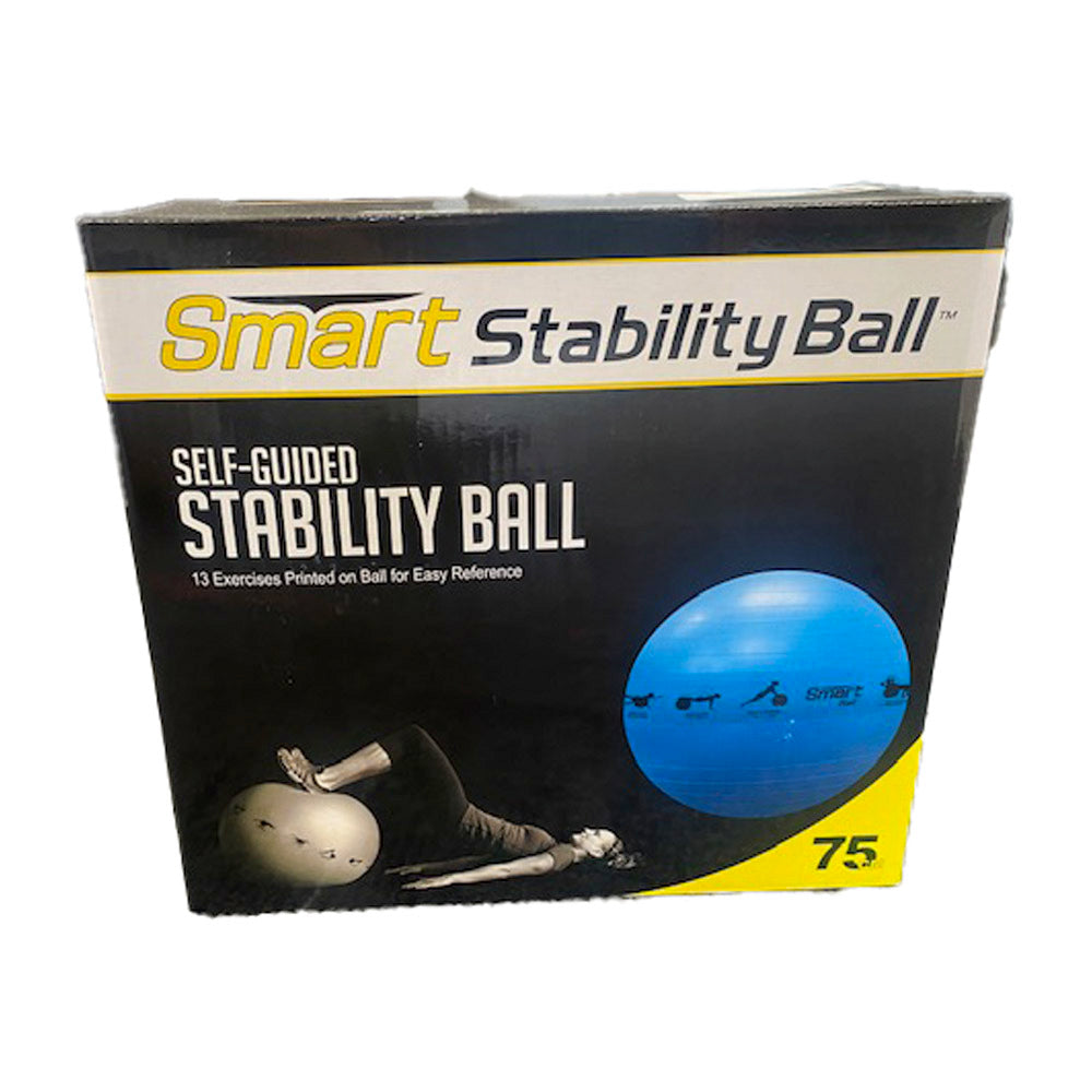 Smart Stability Ball Self-Guided