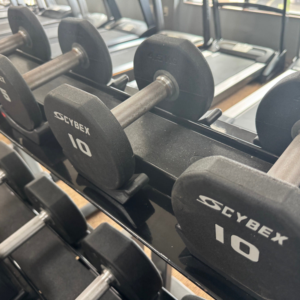 Pair of Cybex 10-pound dumbbells on a rack in a gym setting