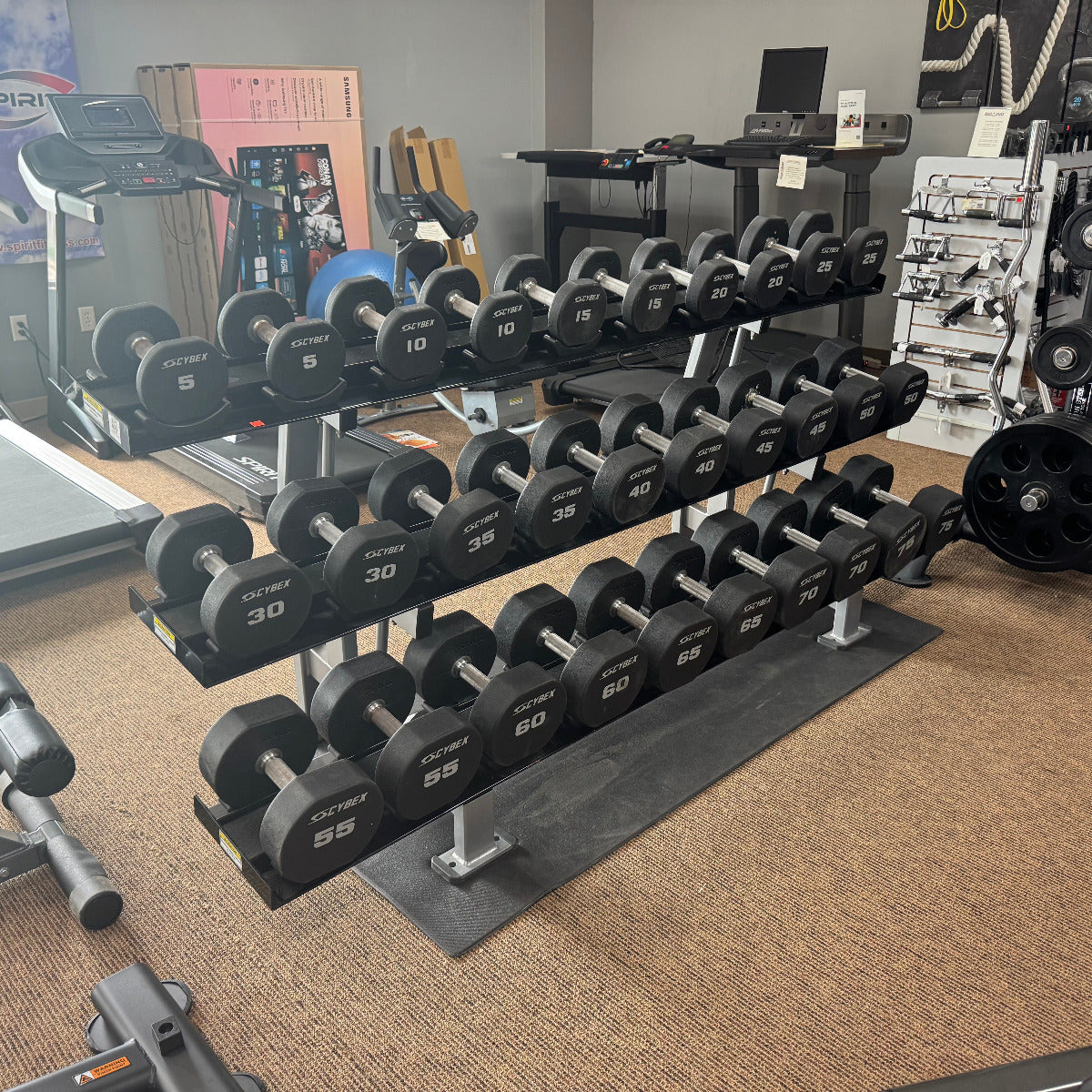Dumbbell rack with weights in a gym setting