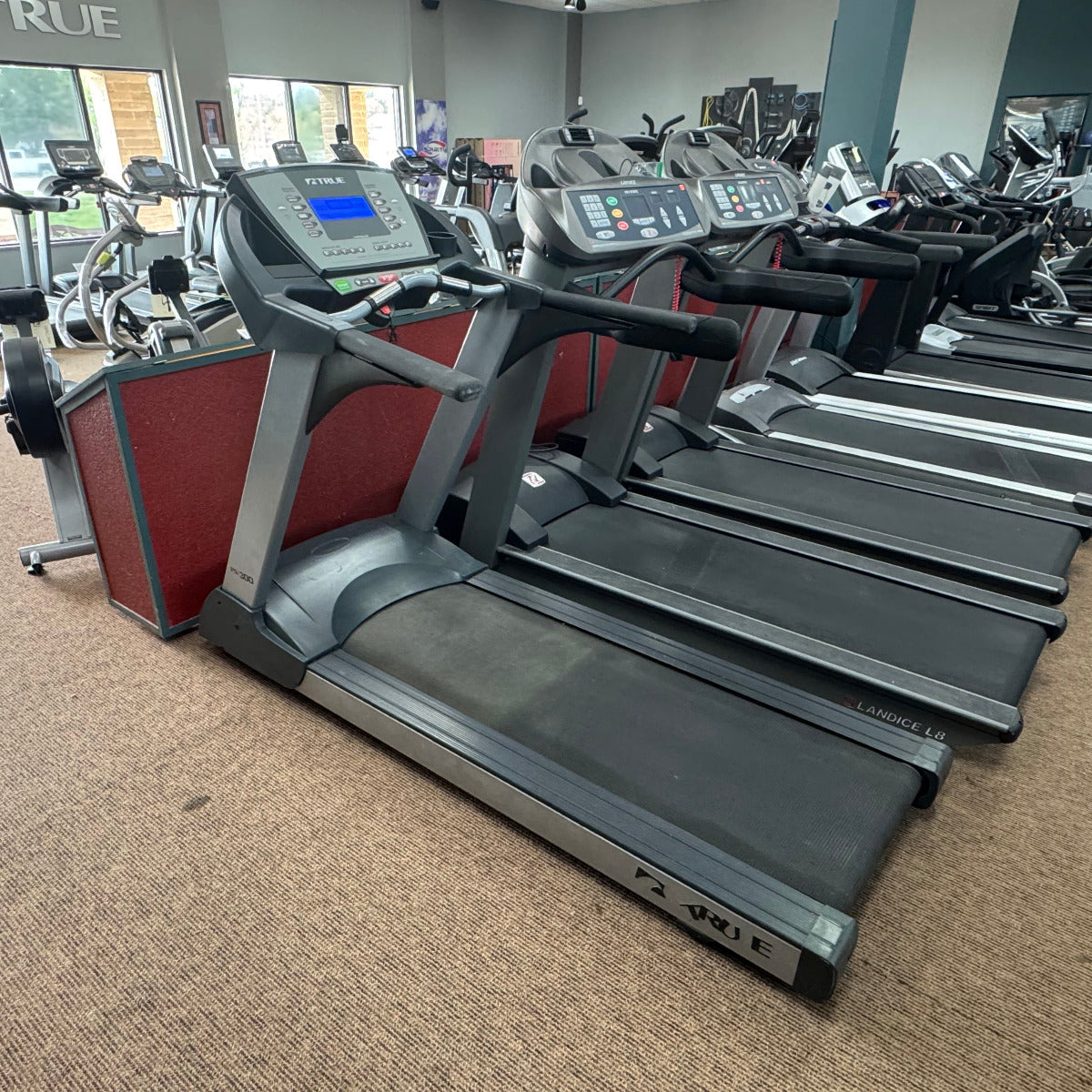 Row of treadmills in a gym setting with 'TRUE' branding.