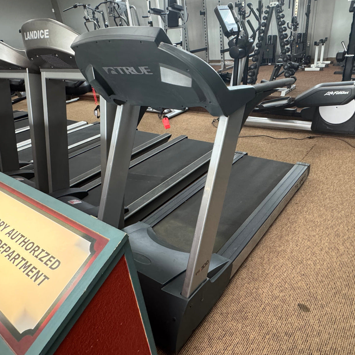 Pre-Owned True PS300 Treadmill