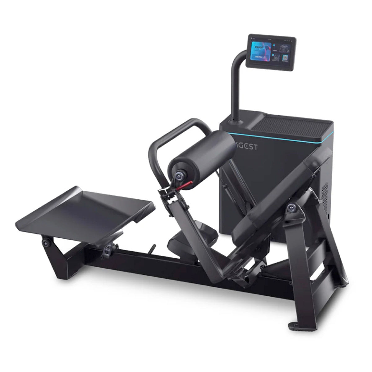 Echelon StrengthiQ SelectoriZed Hip Thrust ECH-STRIQ-HIP