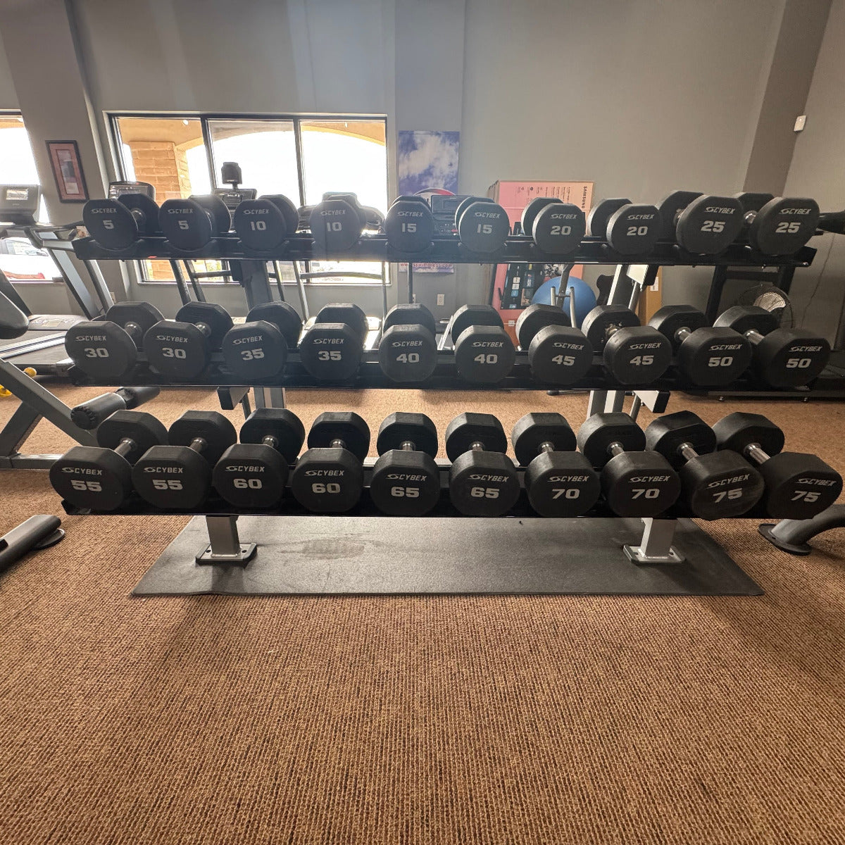 Dumbbell rack with weights in a gym setting