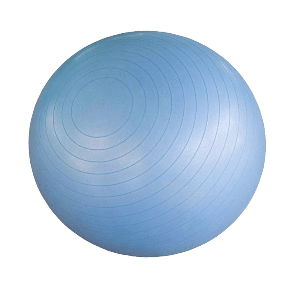 Hudson Steel Company Stability Bikini Ball